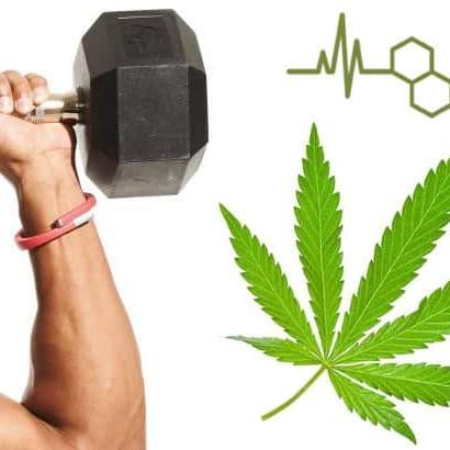 CBD & Sport