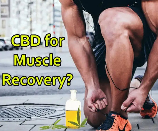 The Top CBD Supplements for Muscle Recovery: Our Expert Recommendations