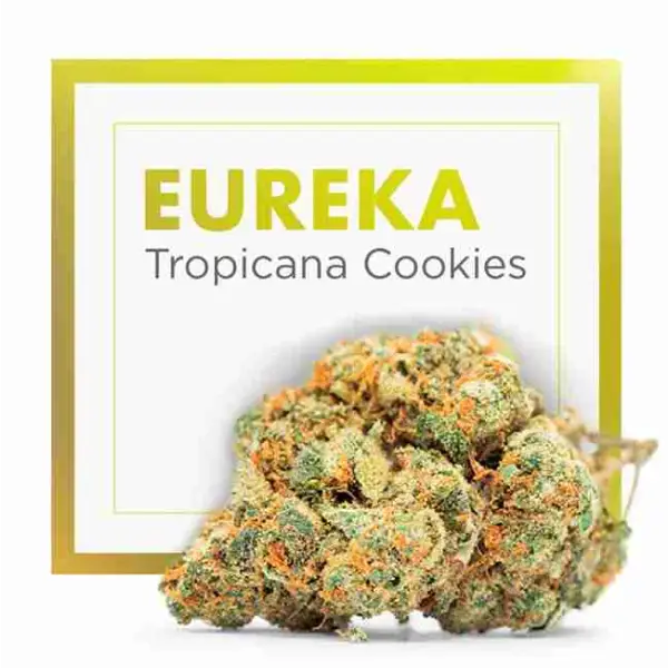 CBD Indoor EUREKA Flowers (Tropicana Cookies)