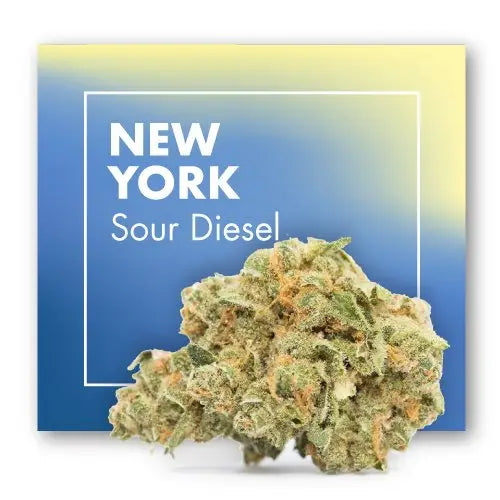 NEW YORK CBD Cannabis Flowers (Sour Diesel CBD) - INDOOR