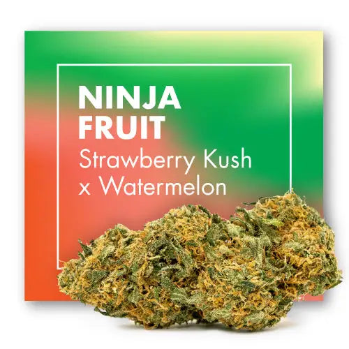 NINJA FRUIT CBD Cannabis Flowers (Strawberry Kush x Watermelon)