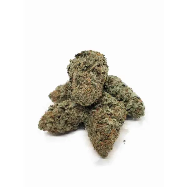 Premium Great White Shark CBD - Indoor - dried flower